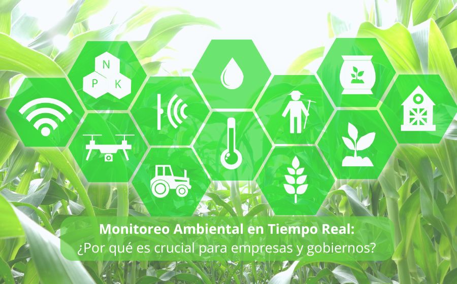 Monitoreo Ambiental en Tiempo Real: ¿Por qué es crucial para empresas y gobiernos? 